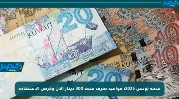 منحة تونس 2025: مواعيد صرف منحة 300 دينار الآن وفرص الاستفادة